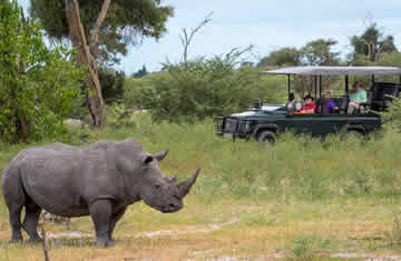 luxury safari africa trips