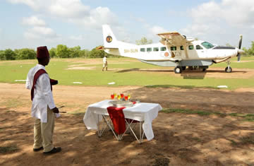 selous safari arrival by air