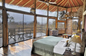 Tarangire treetops