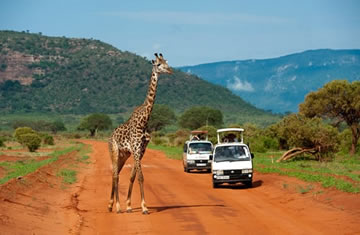 safaris in tsavo east