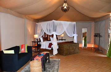 Serengeti safari lodge room