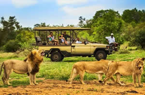 multi country safaris