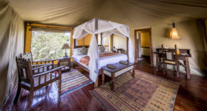 ashnil Mara camp