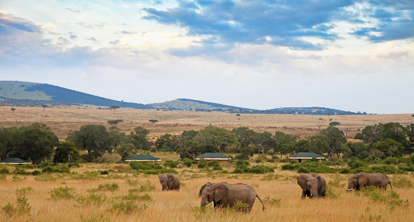 Sand River Camp Kenya | Safaris to Africa, Trips & Vacations Sand River Camp Masai Mara