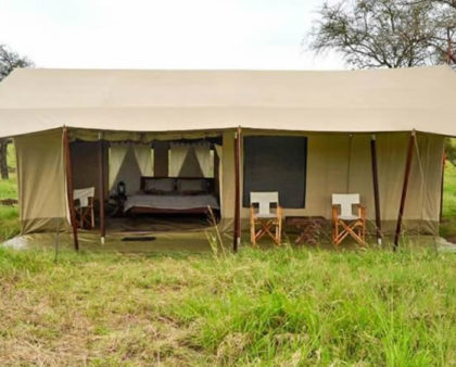 serengeti mawe