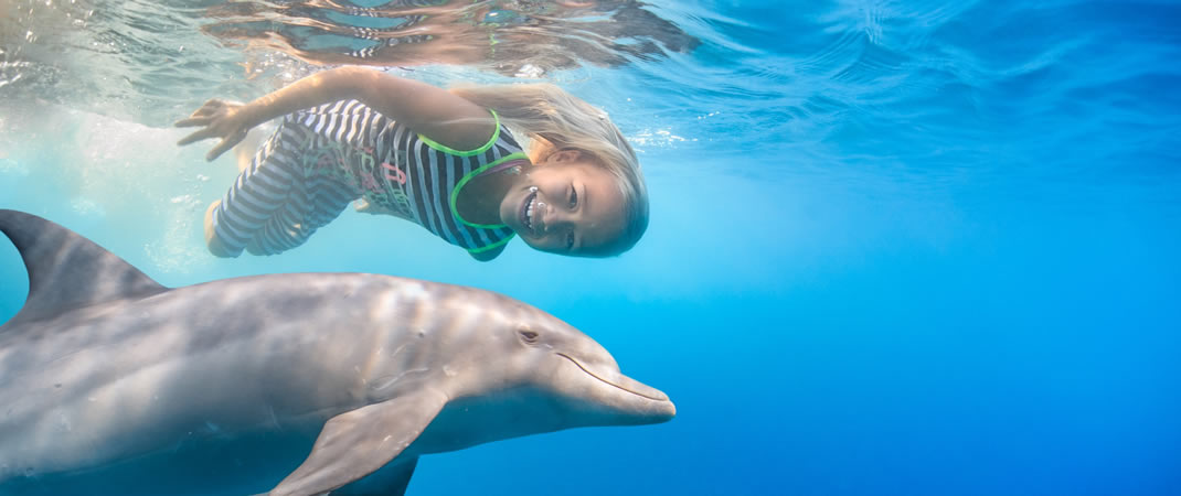 Swimming with dolphins in Kenya