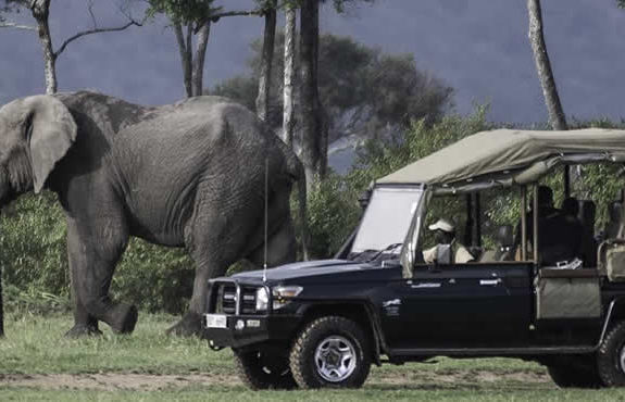 open side safaris in masai mara