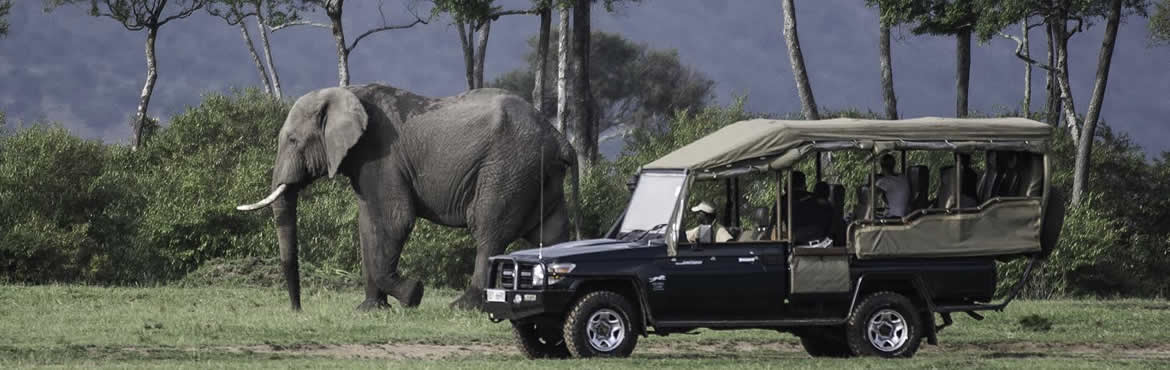 open side safaris in masai mara