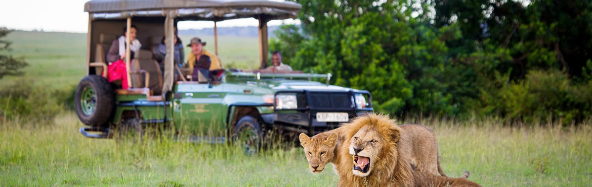 Open side jeep safaris africa
