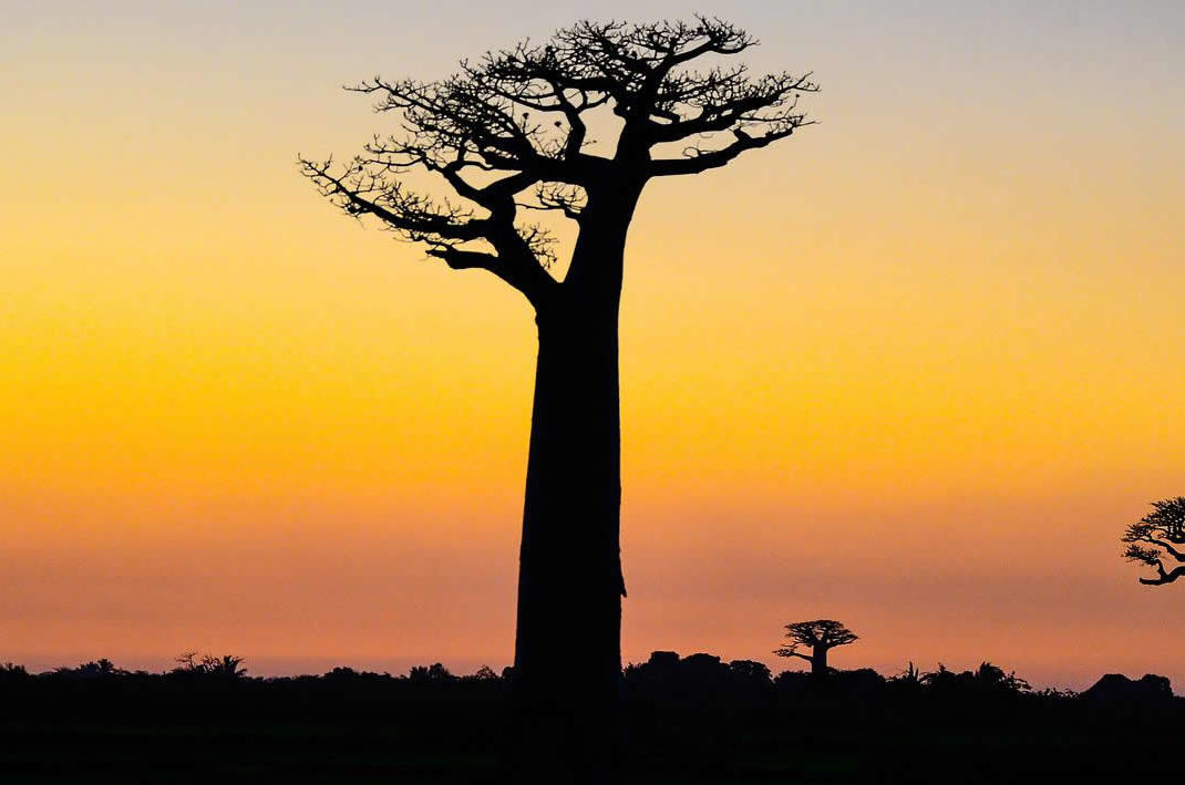 Trips To Madagascar A Remarkable And Authentic Destination