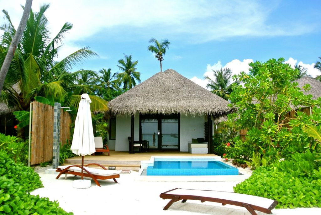 maldives, coconut tree, sea