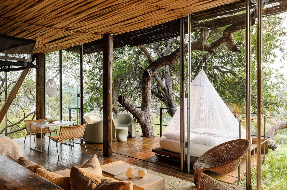 Singita and Kruger Luxury Safari