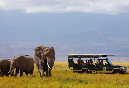 Luxury safari tortilis camp