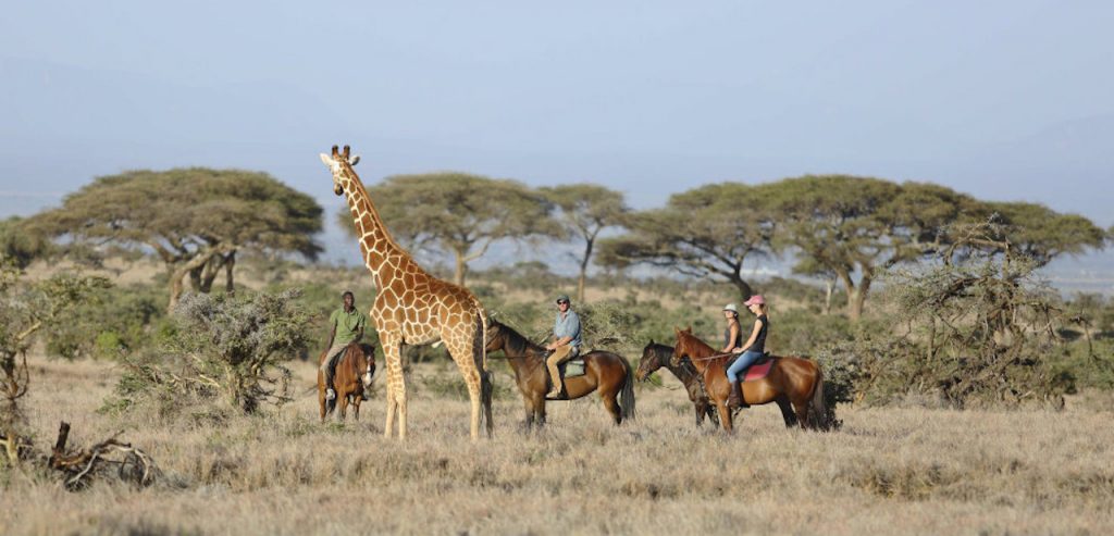 luxury safaris at lewa conservancy