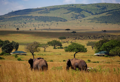 Luxury safari at Elewana Sand River Camp