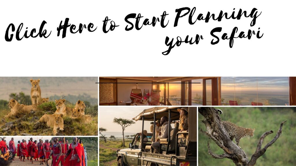 Plan your safari with Hallmark Travel Planners