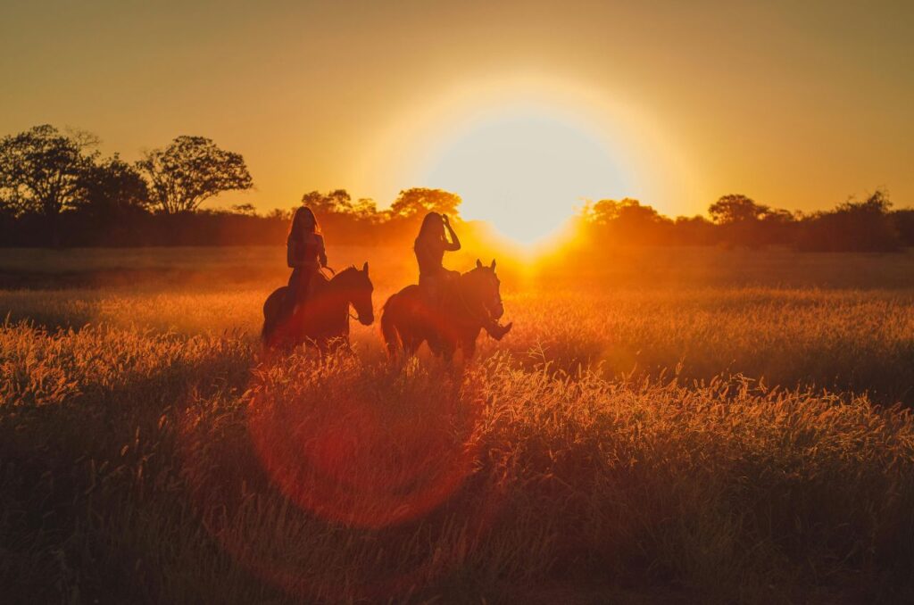 Special Interest Africa Safaris