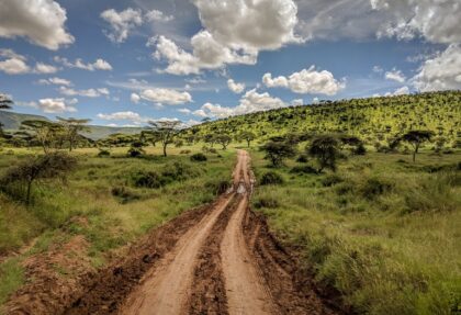 Safari Planning Tips