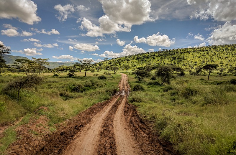 Safari Planning Tips